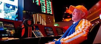 Вход на официальный сайт Maximum Casino